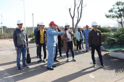 走綠色發(fā)展之路，樹(shù)環(huán)保標(biāo)桿企業(yè)——環(huán)境保護(hù)監(jiān)測(cè)的核心使命與實(shí)踐路徑